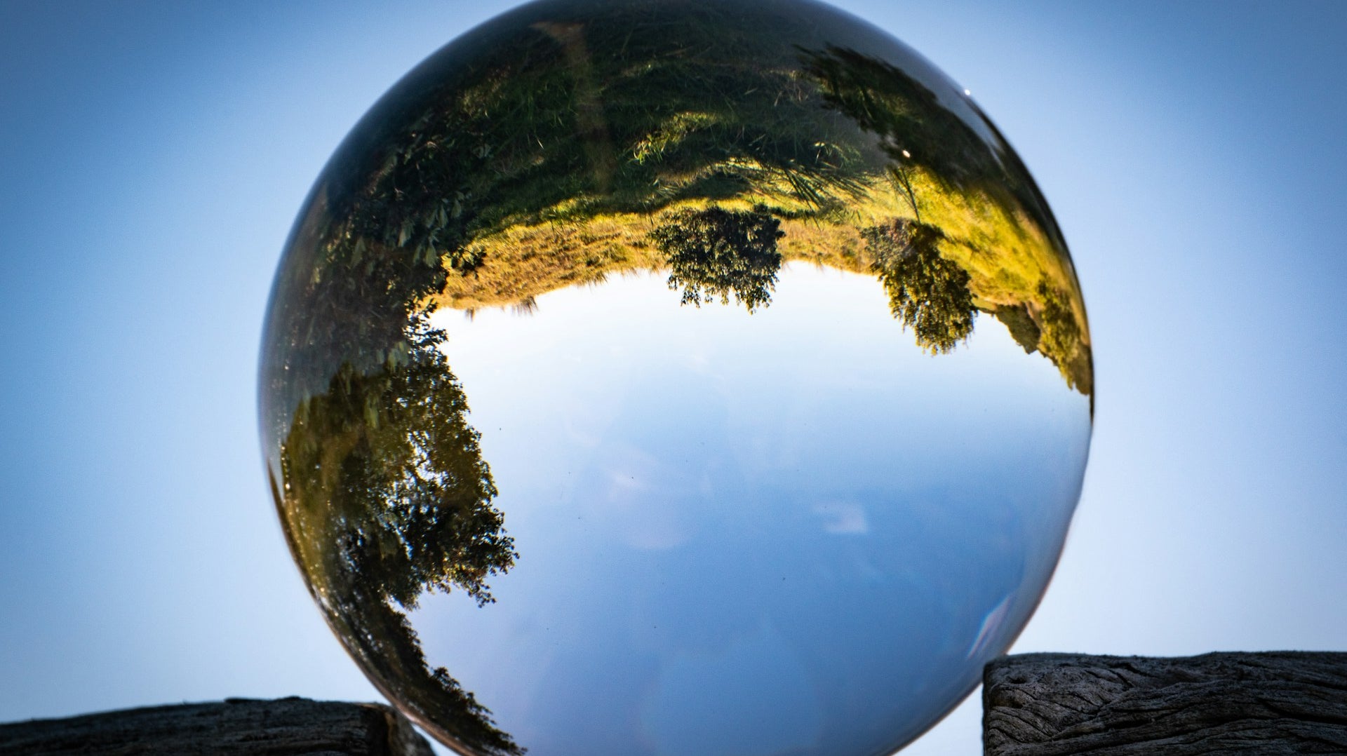 Choose Chicken: Healthy for You, Better for the Planet