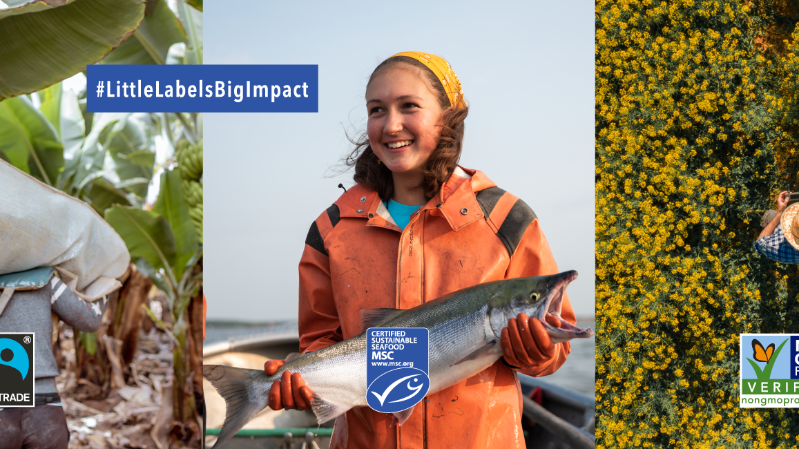 Is Jidori Chicken Non-GMO?