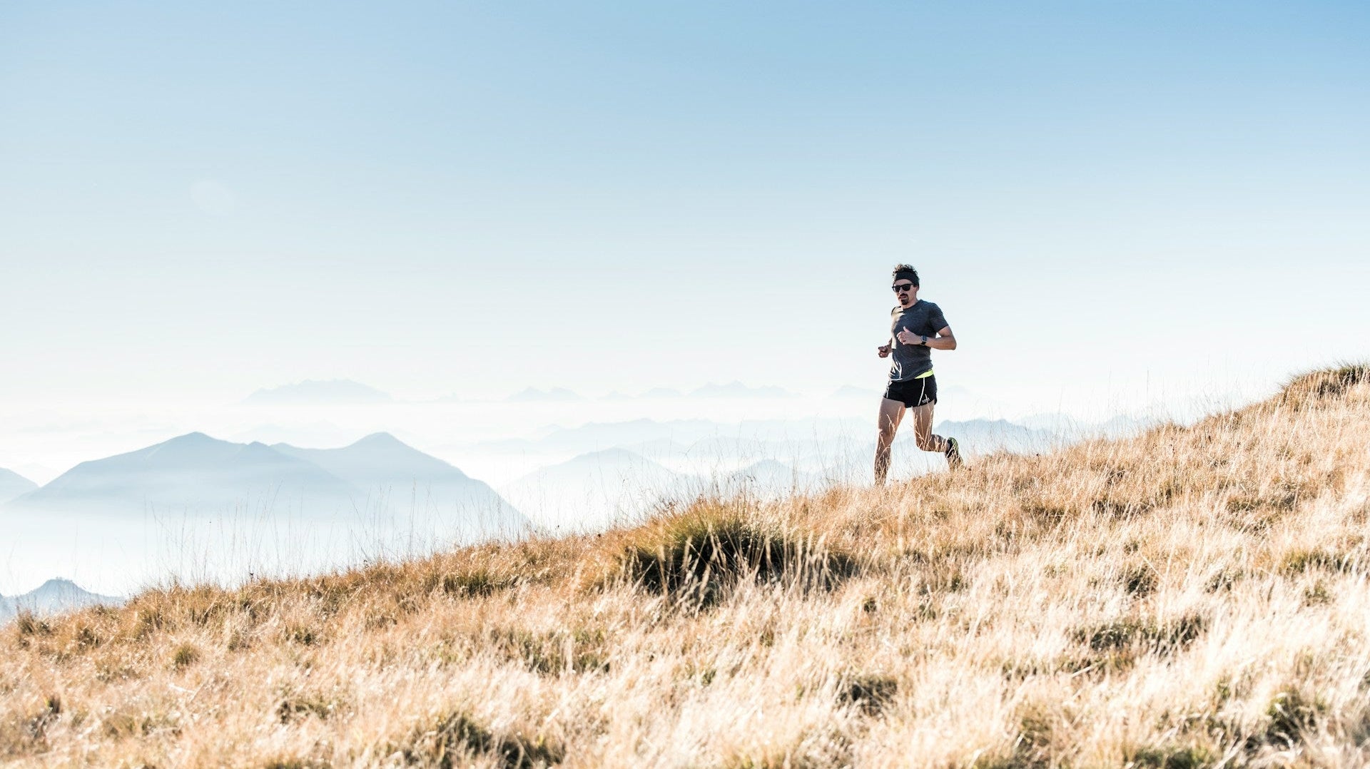 Bioavailability in Your Protein Source Matters