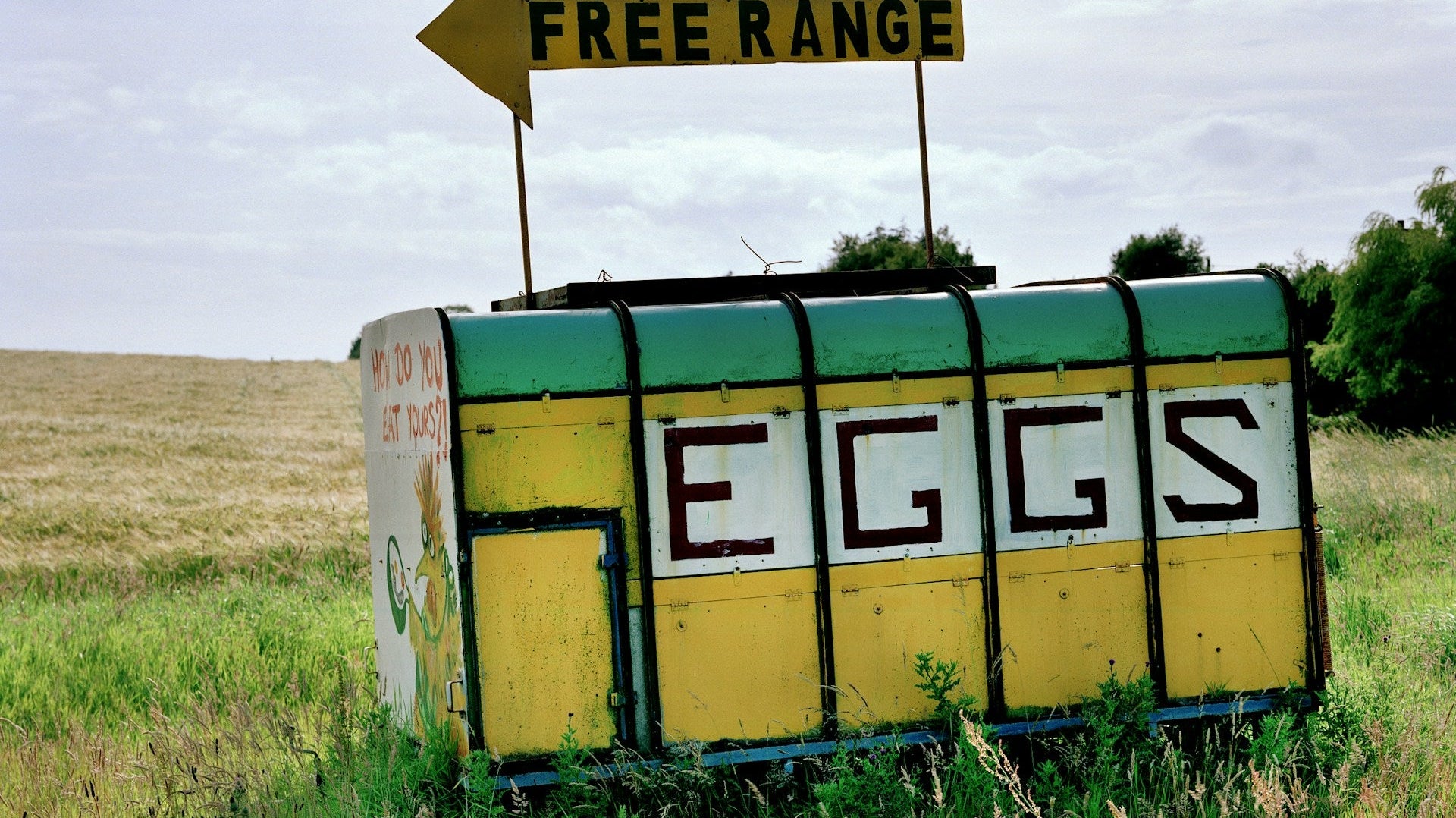 The Free-Range Illusion: What Grocery Store Poultry Labels Aren't Telling You