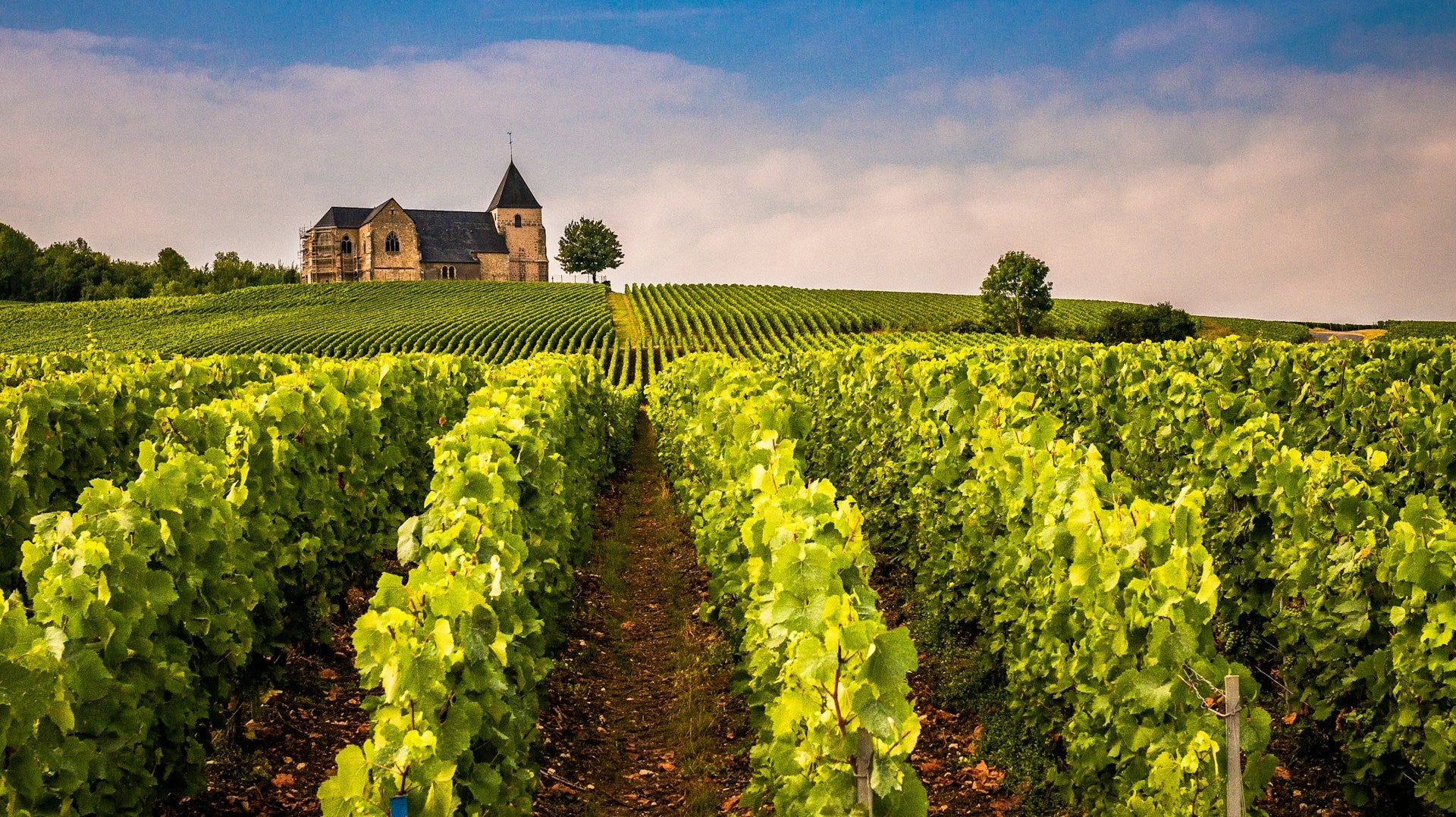 Mindful Meat-ing and Calculating Flavor Per Ounce