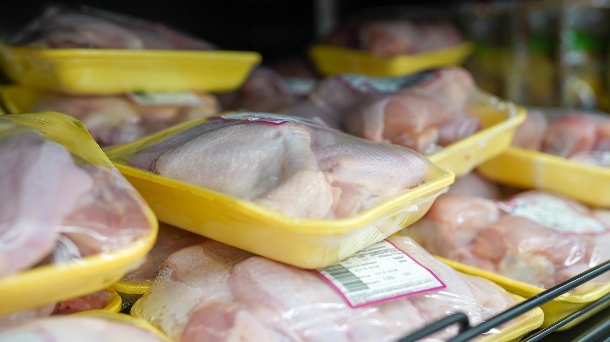 Mass Produced Chicken vs. Premium Jidori Chicken
