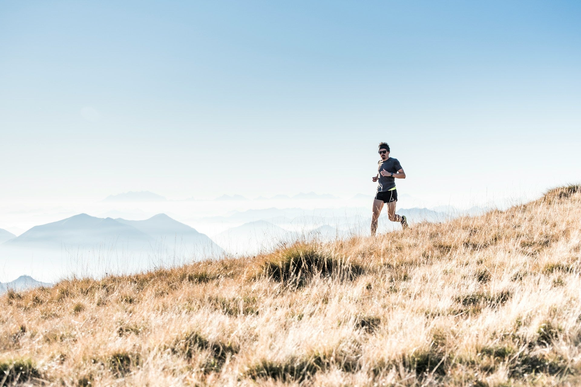 Bioavailability in Your Protein Source Matters