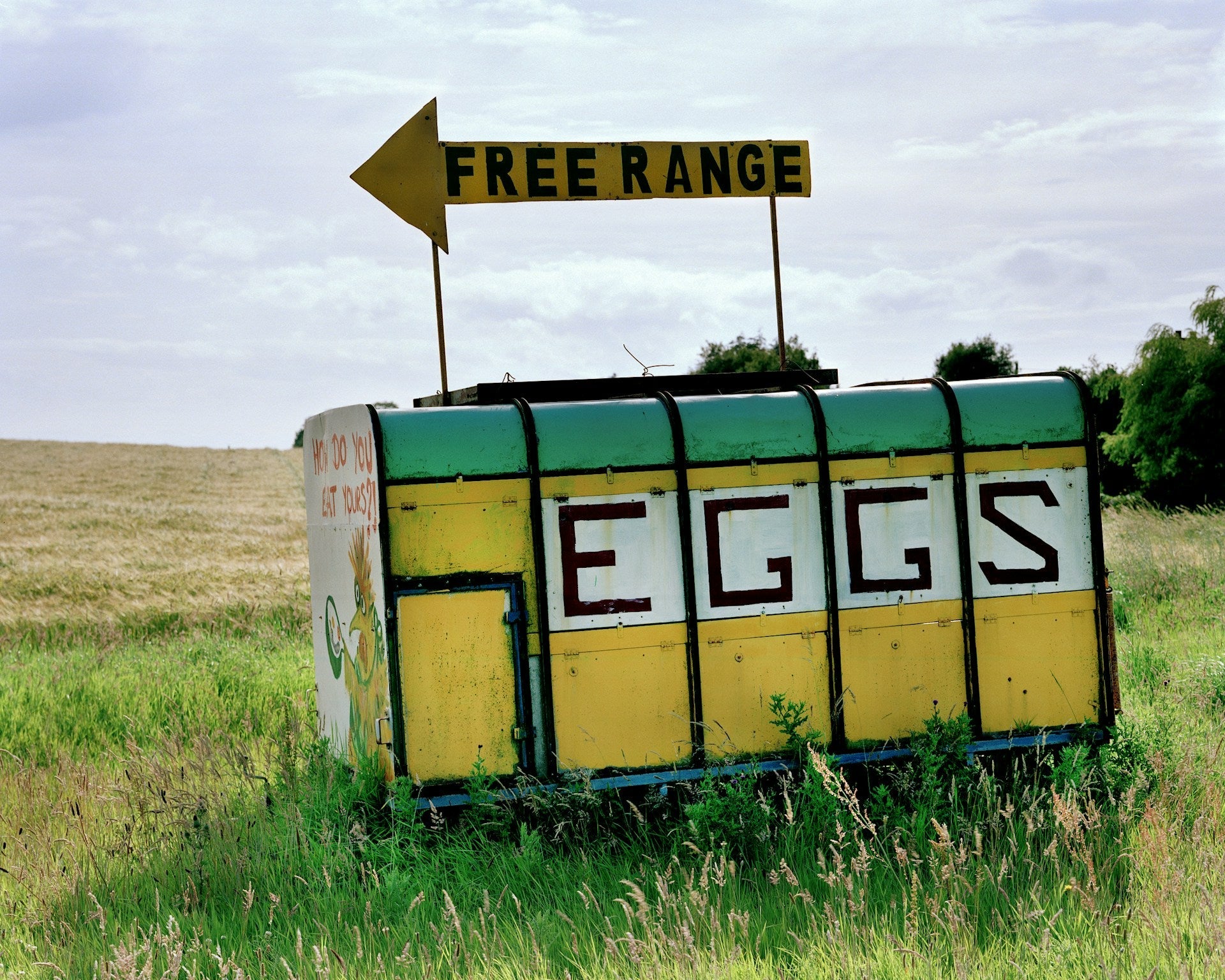 The Free-Range Illusion: What Grocery Store Poultry Labels Aren't Telling You